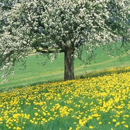 By Rhine With Stunning Water Views *