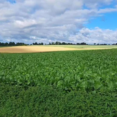 By Rhine With Stunning Water Views Дом отдыха