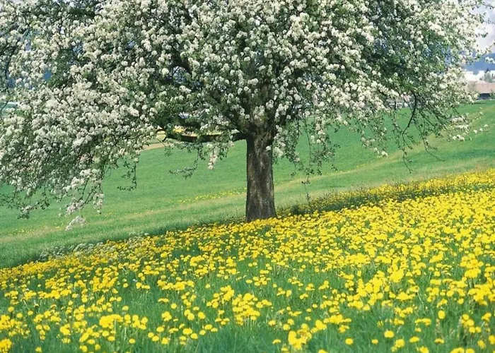 By Rhine With Stunning Water Views *