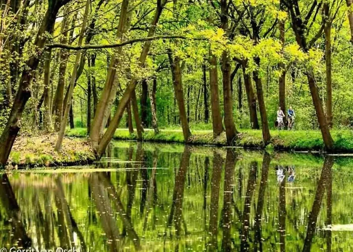 Casa de Férias By Rhine With Stunning Water Views *