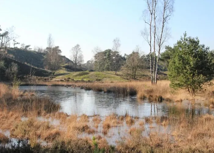 By Rhine With Stunning Water Views Well (Limburg)