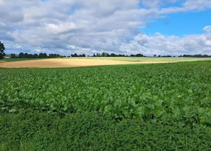 By Rhine With Stunning Water Views Casa de Férias